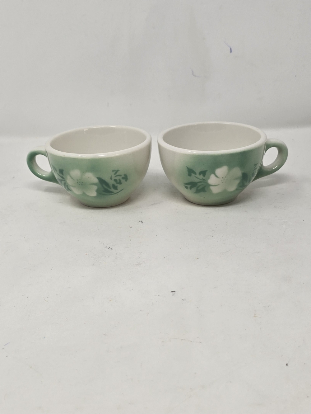 Vtg Syracuse china Millbrook airbrush flower coffee, cappuccino cup restaurant